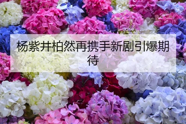 yang-zi-jing-bai-ran-zai-xie-shou-xin-ju-yin-bao-qi-dai-1-173.jpg